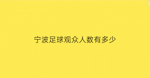 宁波足球观众人数有多少(宁波足球俱乐部)