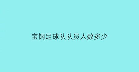 宝钢足球队队员人数多少(宝钢足球队队员人数多少名)