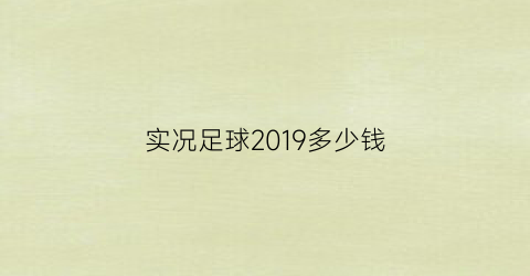 实况足球2019多少钱(实况足球2019有多大)