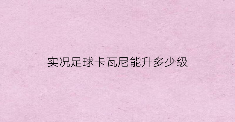 实况足球卡瓦尼能升多少级(实况足球卡瓦尼数据)