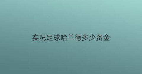 实况足球哈兰德多少资金