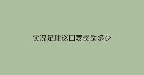 实况足球巡回赛奖励多少