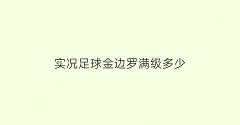 实况足球金边罗满级多少(实况足球金球边锋)