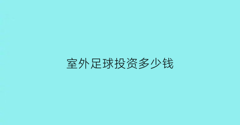 室外足球投资多少钱(投资室内足球场挣钱吗)