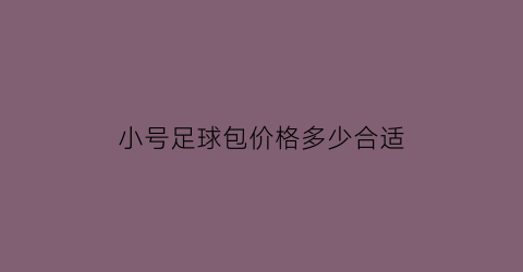 小号足球包价格多少合适(用小号足球训练的好处)