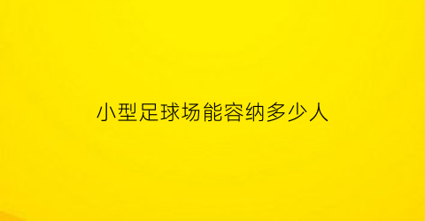 小型足球场能容纳多少人(小的足球场多大)