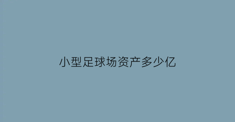 小型足球场资产多少亿(小足球场多少钱)