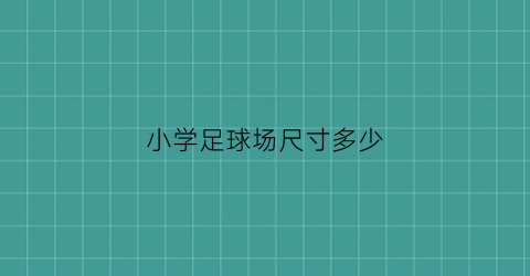 小学足球场尺寸多少(小学足球场长宽标准多少)