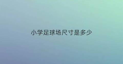 小学足球场尺寸是多少(小学足球场长宽标准多少)