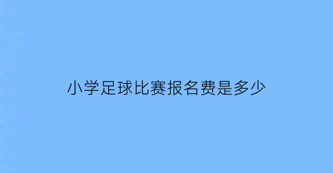 小学足球比赛报名费是多少(小学足球队收费)