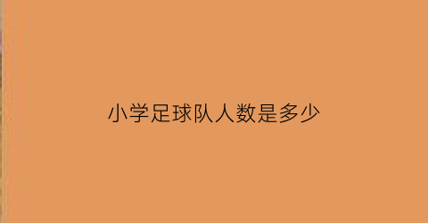 小学足球队人数是多少(小学足球队人数是多少个人)