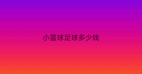 小篮球足球多少钱(篮球足球价格)