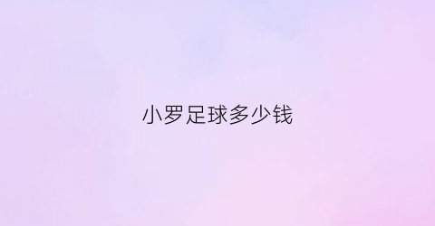 小罗足球多少钱(小罗足球多少钱一场)