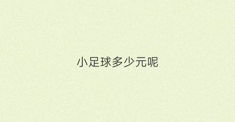 小足球多少元呢(小足球多少钱一个)