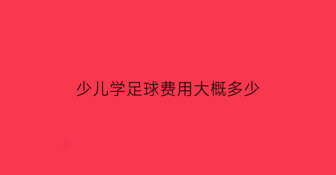 少儿学足球费用大概多少(小孩学足球的费用)