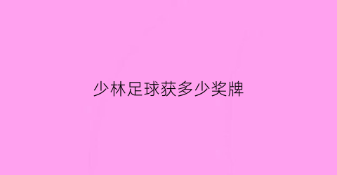 少林足球获多少奖牌