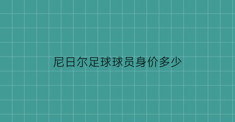 尼日尔足球球员身价多少(尼日尔足球运动员)