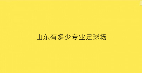 山东有多少专业足球场(山东有哪些足球学校)