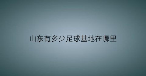 山东有多少足球基地在哪里(山东有足球学校吗)