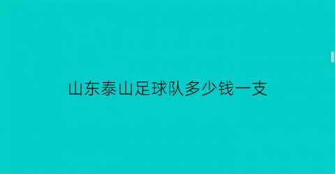 山东泰山足球队多少钱一支