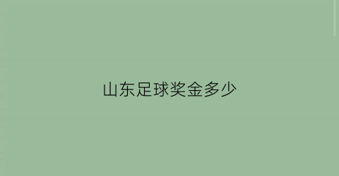 山东足球奖金多少(山东足球协会官网)