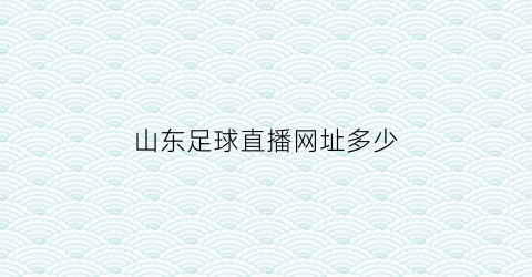 山东足球直播网址多少(山东足球直播网址多少啊)