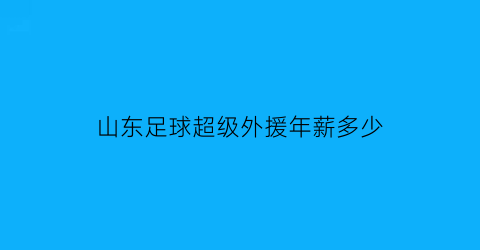 山东足球超级外援年薪多少