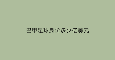 巴甲足球身价多少亿美元(巴甲球队身价排行2021)