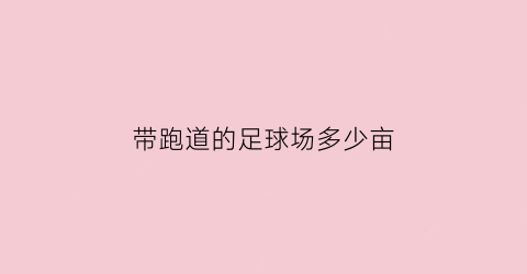 带跑道的足球场多少亩(标准足球场跑道面积是多少)