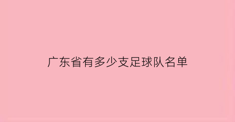 广东省有多少支足球队名单(广东省有多少支足球队名单表)