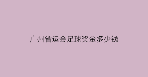 广州省运会足球奖金多少钱