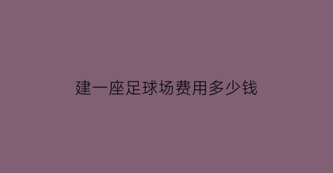 建一座足球场费用多少钱(建一个足球场需要多少钱)