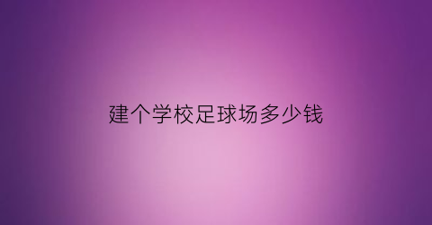 建个学校足球场多少钱(建个小足球场多少钱)