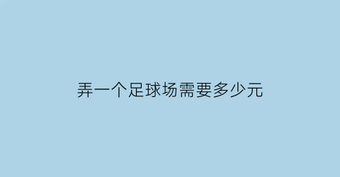 弄一个足球场需要多少元(弄个足球场大概多少钱)