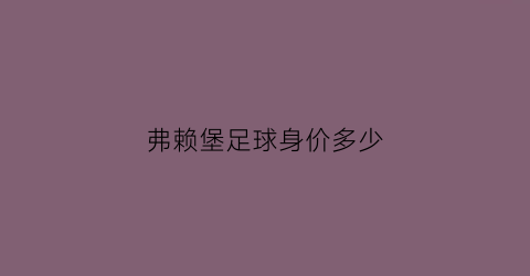 弗赖堡足球身价多少(弗赖堡主场球衣)