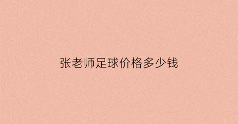 张老师足球价格多少钱(张老师足球价格多少钱一个)