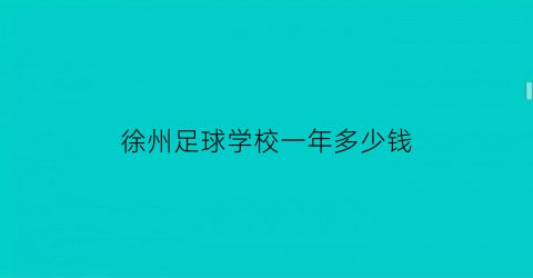 徐州足球学校一年多少钱