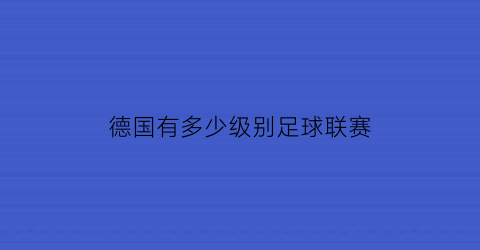 德国有多少级别足球联赛