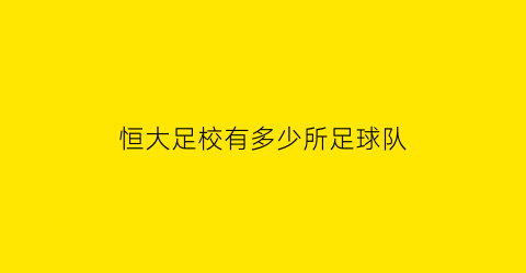 恒大足校有多少所足球队(恒大足球学校属于什么性质)