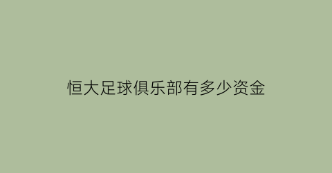 恒大足球俱乐部有多少资金(恒大足球总投资)