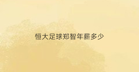 恒大足球郑智年薪多少(22年足球职业生涯恒大队长郑智一共赚到了多少薪水)