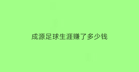 成源足球生涯赚了多少钱(成源怎么样)