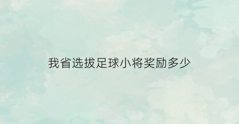 我省选拔足球小将奖励多少(足球小将全国大赛排名)