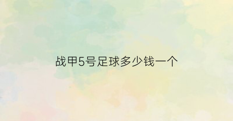 战甲5号足球多少钱一个(战甲5号足球多少钱一个啊)