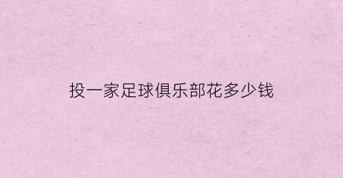 投一家足球俱乐部花多少钱(投资一个足球队要多少钱)