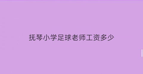 抚琴小学足球老师工资多少(校园足球体育教师待遇)