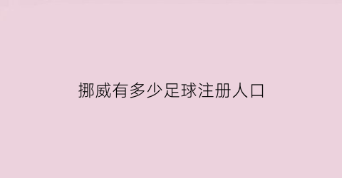 挪威有多少足球注册人口(挪威足球队大名单)