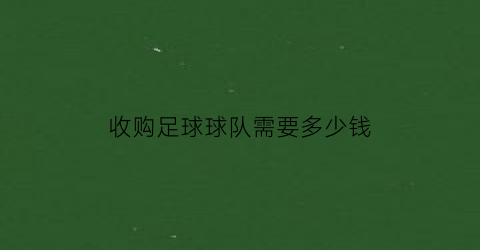 收购足球球队需要多少钱(收购足球球队需要多少钱呢)