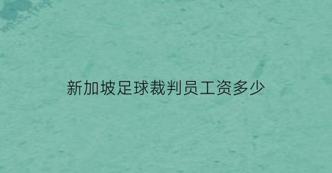 新加坡足球裁判员工资多少