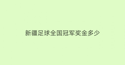 新疆足球全国冠军奖金多少